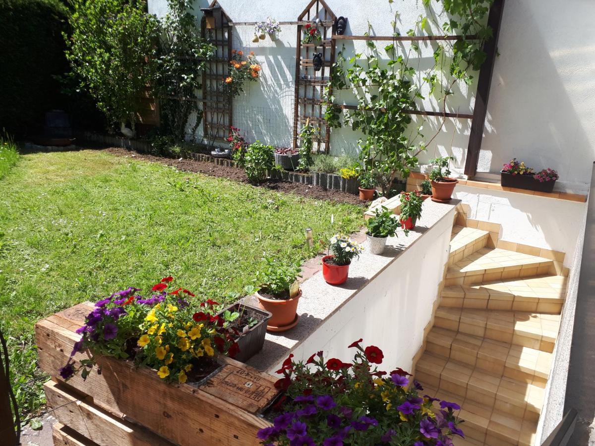 Hostel Bad Salzig Boppard Exterior foto